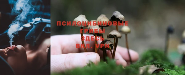 мескалин Вяземский