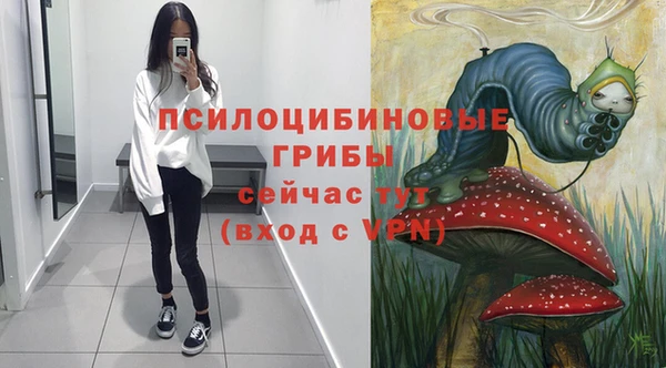 мескалин Вяземский
