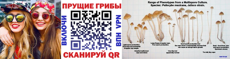 Галлюциногенные грибы Magic Shrooms  Горбатов 